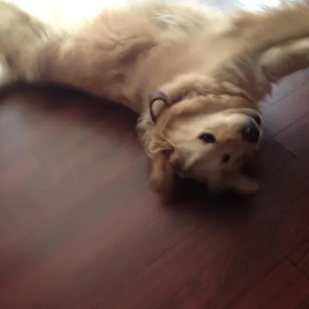 Bel Horizon 3* Vic-sur-Cère